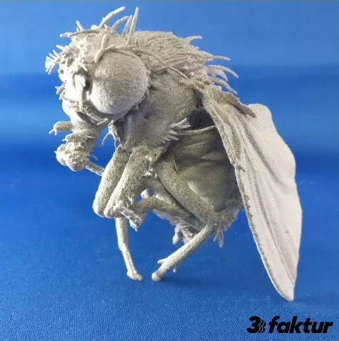 HP Multi Jet Fusion printed Drosophila (fruit fly)