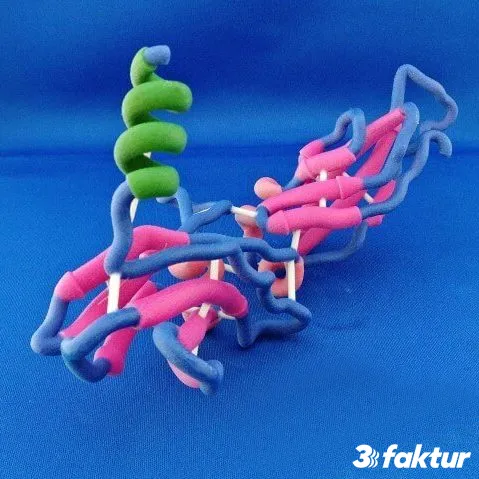 Proteinmodell 3D-Druck