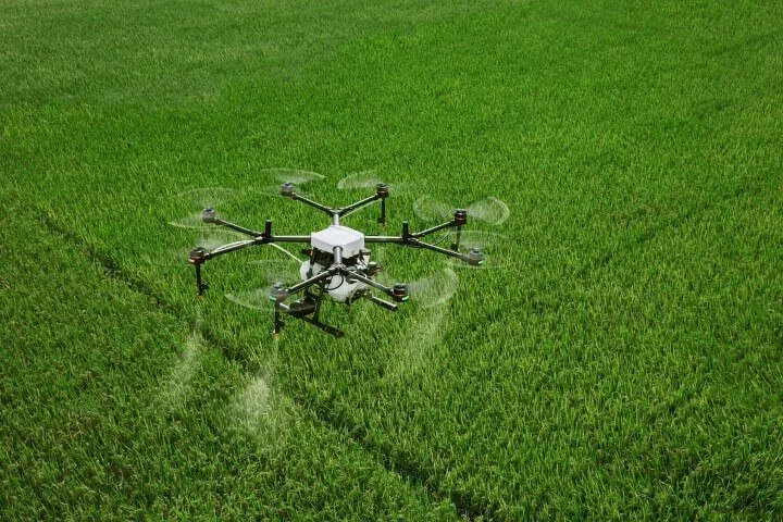 Drohne beim Besprühen eines Feldes